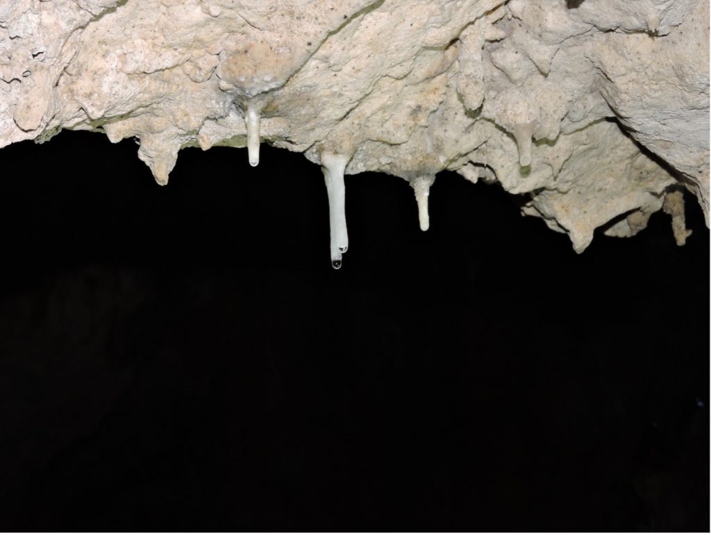 Splendide stalattiti in cavita carsica LE GROTTE DELLO ZINGARO