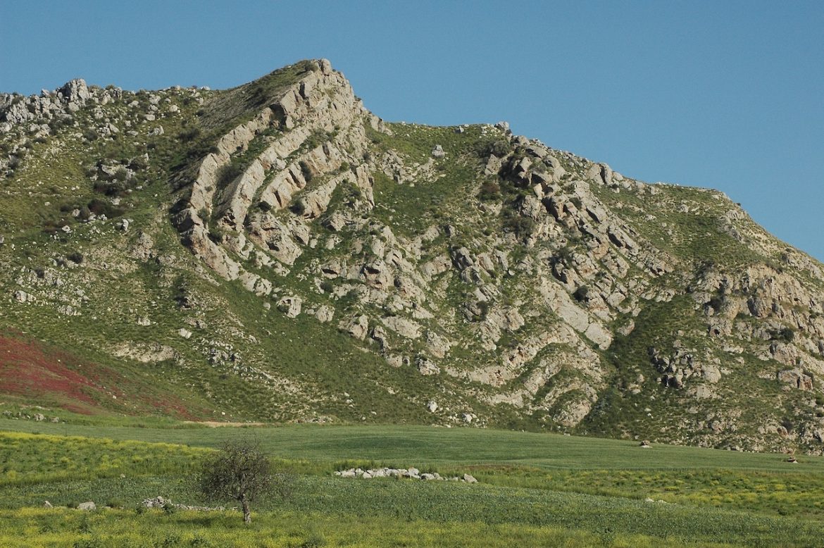 FOTO IN EVIDENZA – Monte Grande, pieghe nei gessi messiniani.