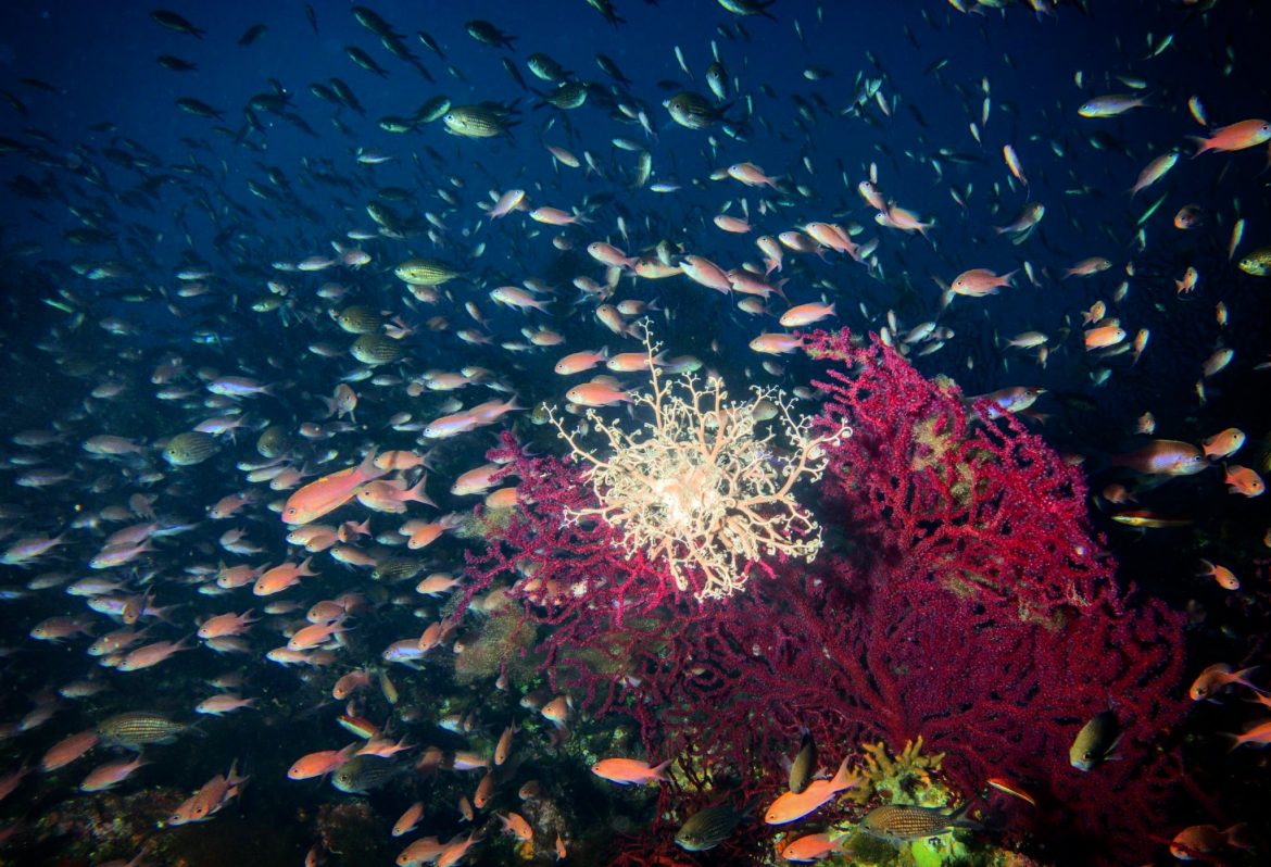 IMG_20210929_172658_399-_3_