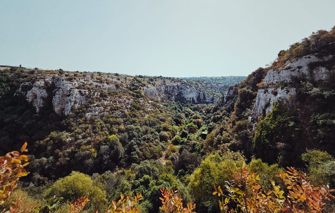 WhatsApp-Image-2024-05-13-at-21.29.44