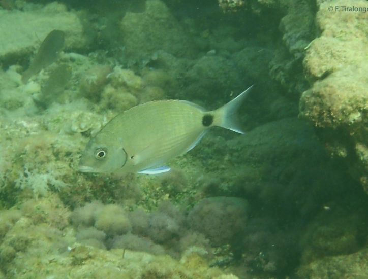 tempFileForShare_20241218-231735