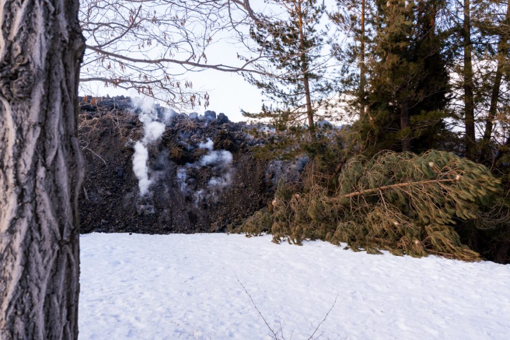 Colata che si infrange su degli alberi