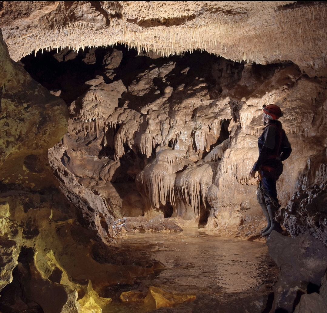 tempFileForShare_20250620-013842